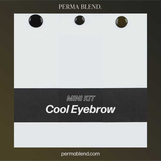 Perma Blend – Cool Eyebrow Mini Set