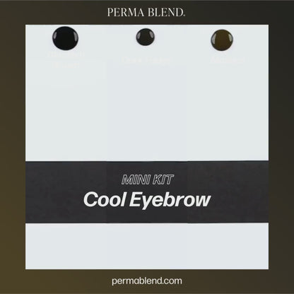 Perma Blend – Cool Eyebrow Mini Set