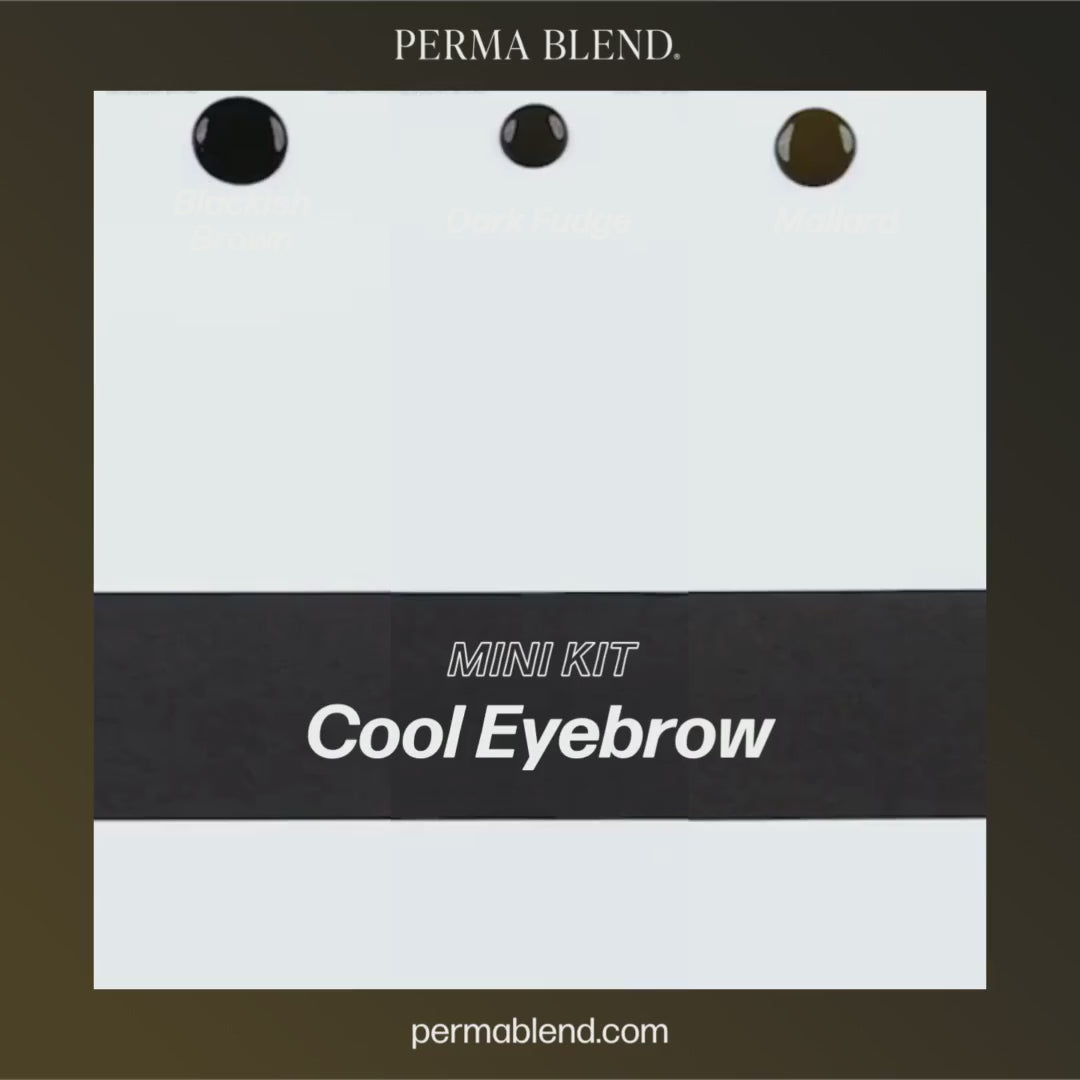 Video Perma Blend – Cool Eyebrow Mini Set