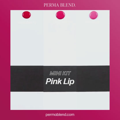 Perma Blend – Pink Lip Mini Set