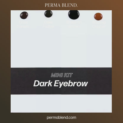 Perma Blend – Dark Eyebrow Mini Set