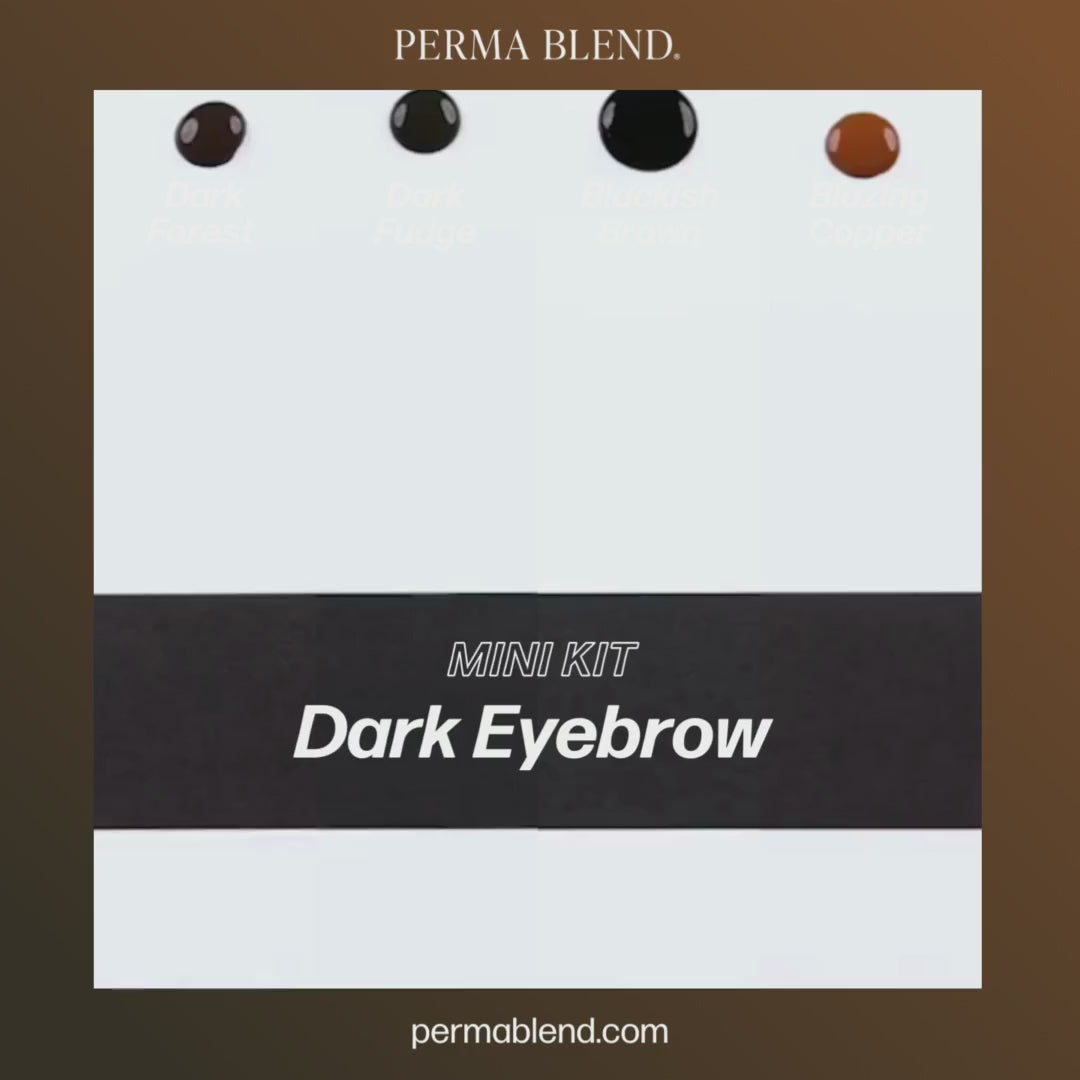 Video Perma Blend – Dark Eyebrow Mini Set