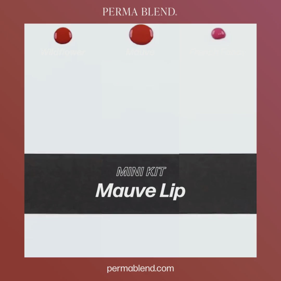 Video Perma Blend – Mauve Lip Mini Set