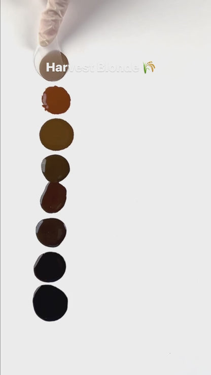 Perma Blend - Forest Brown