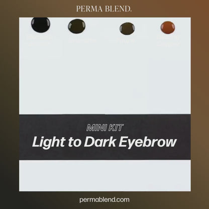 Perma Blend – Light to Dark Eyebrow Mini Set