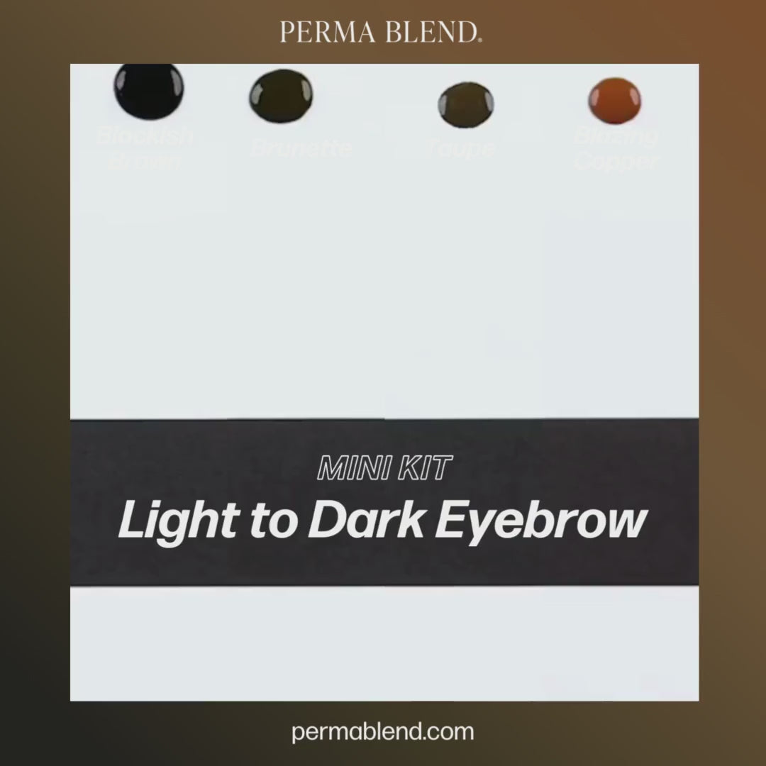 Video Perma Blend – Light to Dark Eyebrow Mini Set