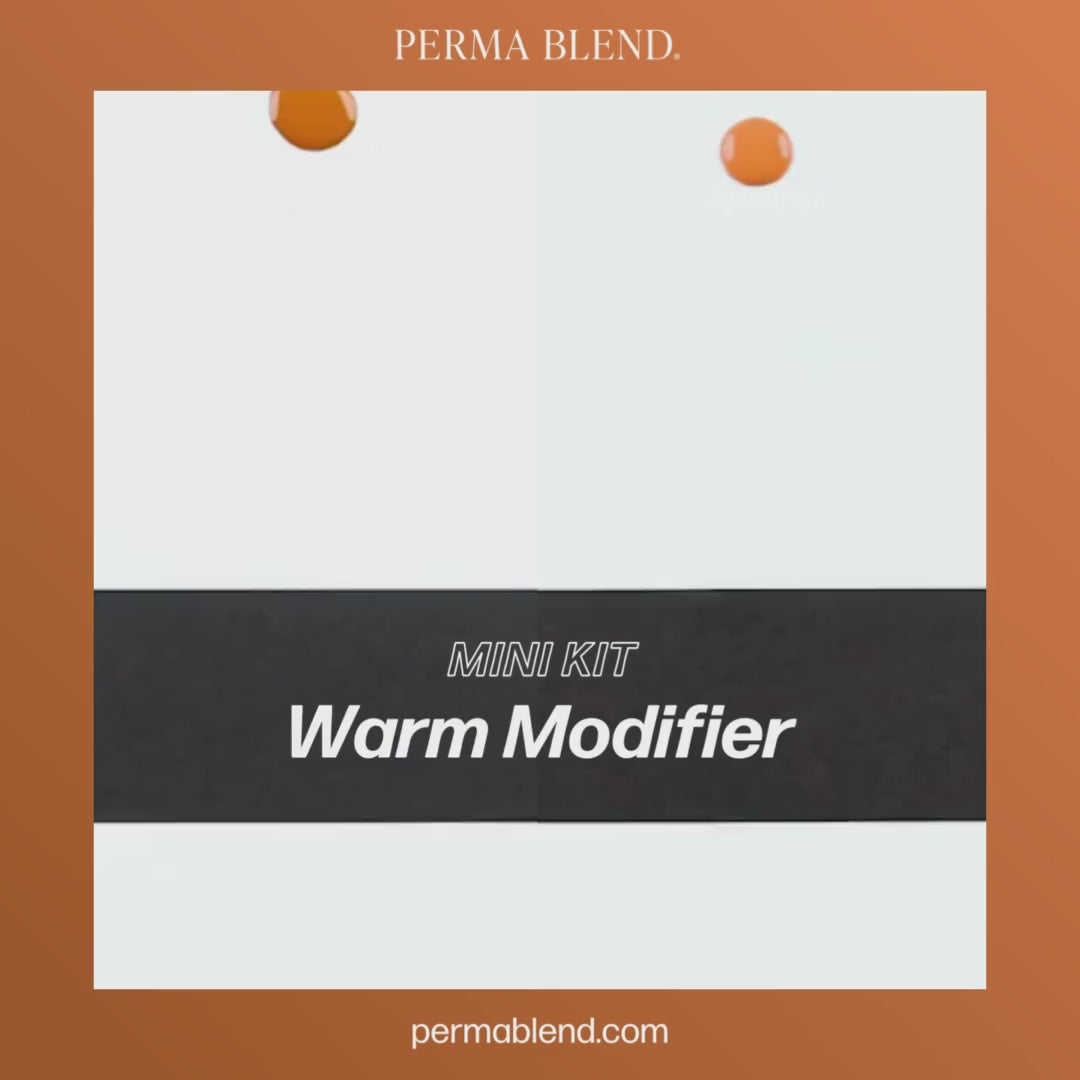 Video Perma Blend – Warm Modifier Eyebrow Mini Set