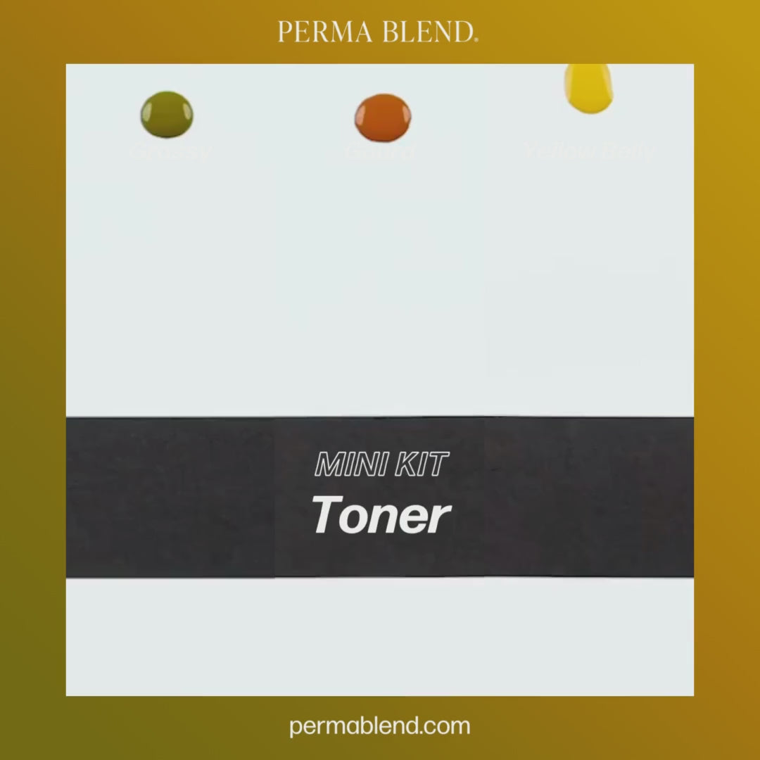 Video Perma Blend – Toner Mini Set