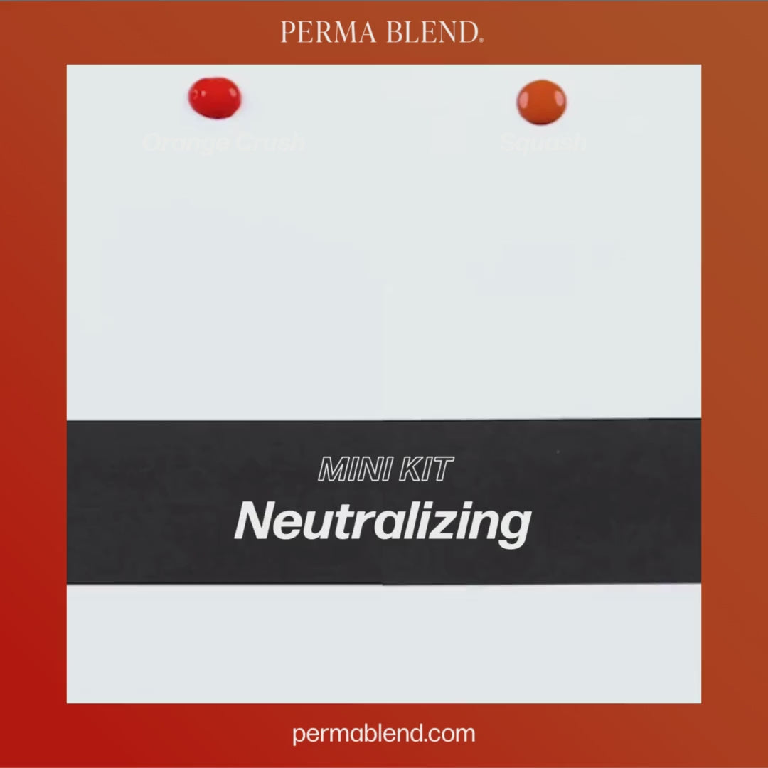 Video Perma Blend – Neutralizing Mini Set