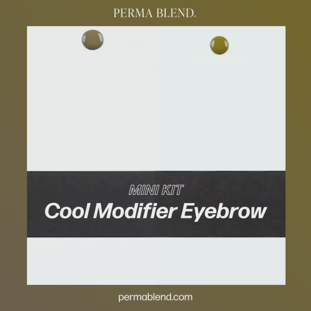 Video Perma Blend – Cool Modifier Eyebrow Mini Set