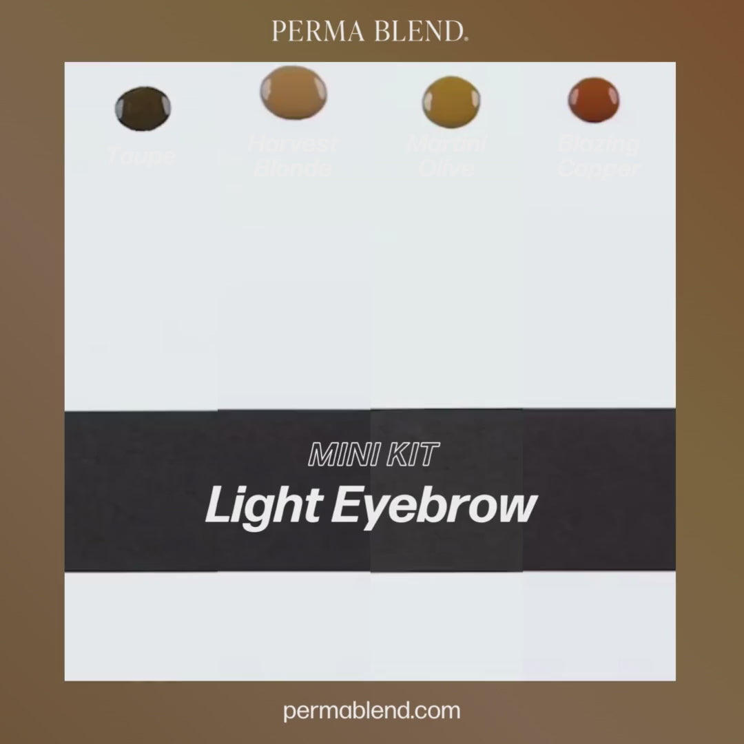 Video Perma Blend – Light Eyebrow Mini Set