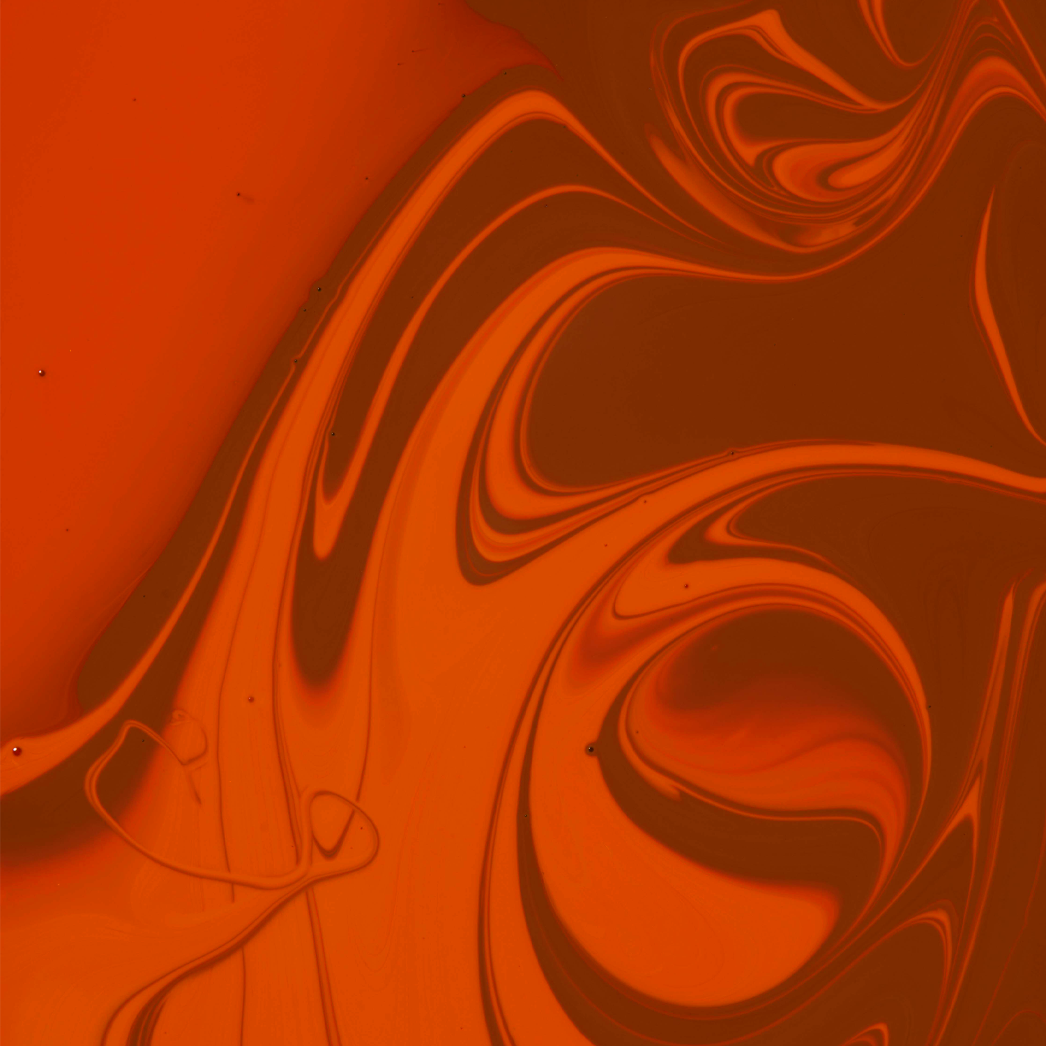 Warm Modifier Mini Set — Perma Blend Luxe — 3 1/2oz Bottles - Ultimate Beauty