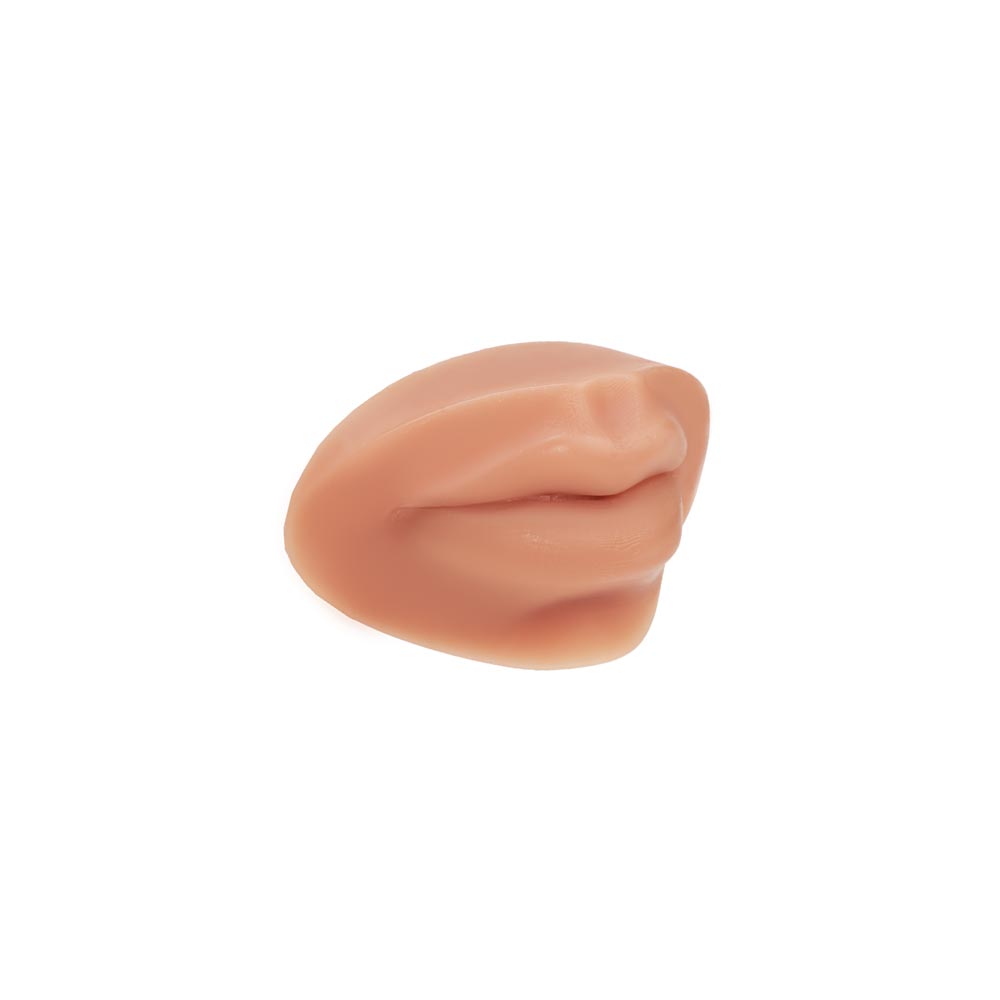 A Pound of Flesh PMU Practice Lips — Fitzpatrick Tone 3 - Ultimate Beauty