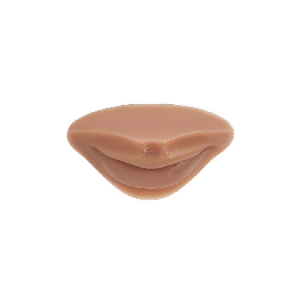 A Pound of Flesh PMU Practice Lips — Fitzpatrick Tone 4 - Ultimate Beauty