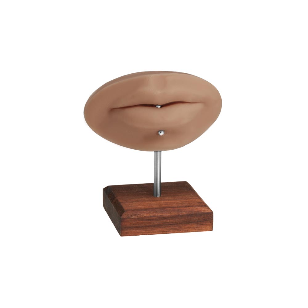 A Pound of Flesh PMU Practice Lips — Fitzpatrick Tone 4 - Ultimate Beauty