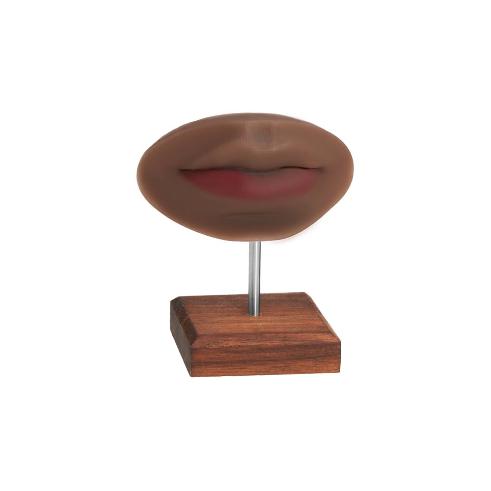 A Pound of Flesh PMU Practice Lips — Fitzpatrick Tone 5 - Ultimate Beauty