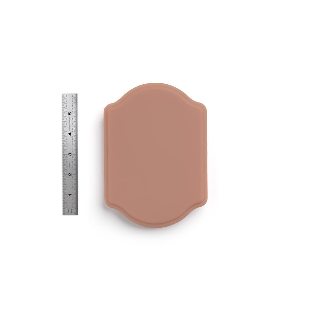 A Pound of Flesh Micro Series Tattooable Synthetic Small Plaque in Fitzpatrick Tone 4 shown with six inch ruler for scale