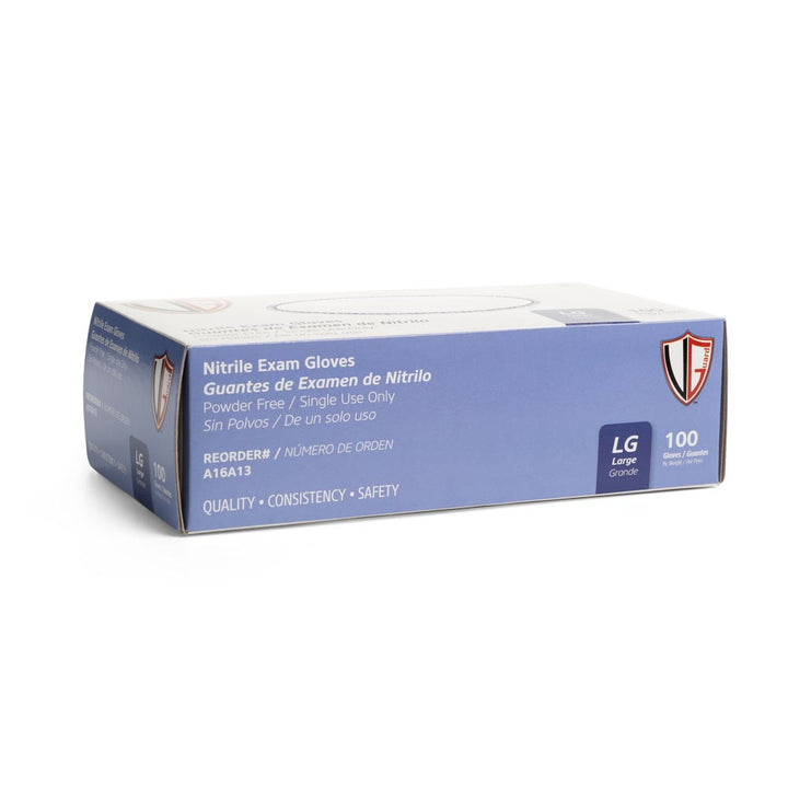 Vanguard Blue Disposable Nitrile Gloves — Box of 100